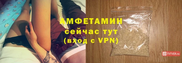 дживик Богданович