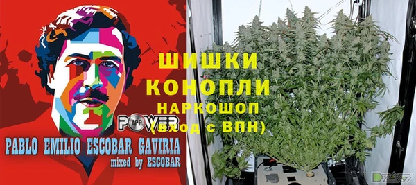 стафф Богородск