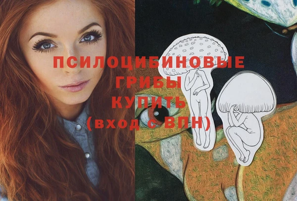 стафф Богородск