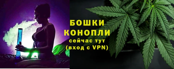 стафф Богородск