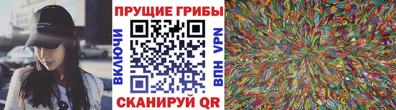 Купить где  Лангепас  Галлюциногенные грибы прущие грибы 