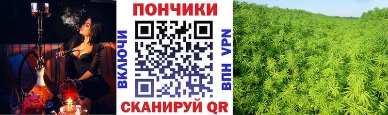 Купить где  Лангепас  Шишки марихуана индика 